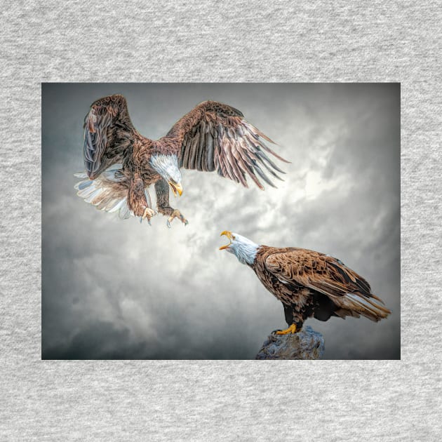 Squabbling Eagles by Tarrby